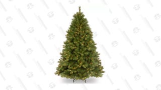 6.5 Ft. Winchester Pine Tree With Clear Lights