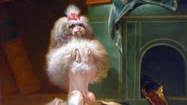 Image for A Kooky Exhibit Helped Me Process How Much I Miss My Ex’s Dog