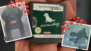 pet game on ds｜TikTok Search