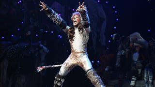 Cats' is back! Reimagined musical set in Harlem's drag Ball Culture to  debut next summer – NBC New York