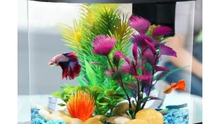 Koller Products AquaView 2-Gallon Plastic 360 Aquarium...
