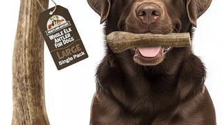 Heartland Elk Antlers for Dogs - Grade A, Naturally Shed...