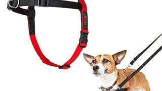 HALTI Front Control Harness - To Stop Your Dog Pulling...