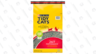 Purina Tidy Cats Non-Clumping Cat Litter