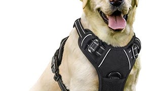 rabbitgoo Dog Harness, No-Pull Pet Harness with 2 Leash...