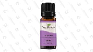 Plant Therapy Lavender Essential Oil