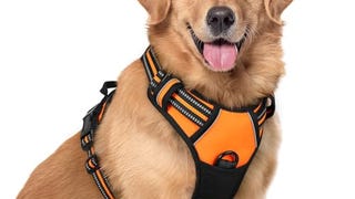 rabbitgoo Dog Harness, No-Pull Pet Harness with 2 Leash...