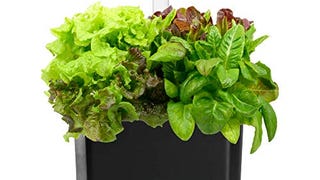 AeroGarden Harvest - With Heirloom Salad Greens Pod Kit...