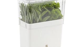 COLE & MASON Fresh Herb Keeper, Container, Clear