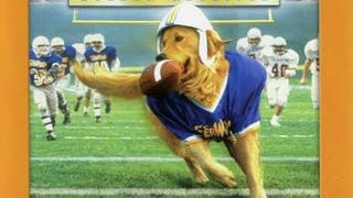 Air Bud Golden Receiver [DVD]