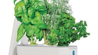 AeroGarden Sprout - Indoor Garden with LED Grow Light,...