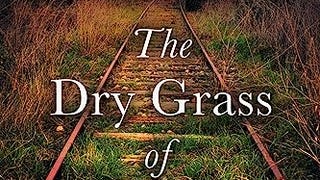 The Dry Grass of August: A Moving Southern Coming of Age...