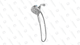 Moen® Aromatherapy Handshower in Chrome