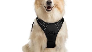 rabbitgoo Dog Harness, No-Pull Pet Harness with 2 Leash...