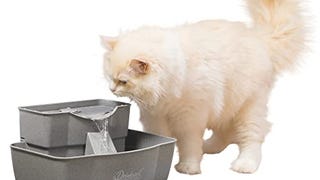 PetSafe Multi-Tier Fountain – Large Waterer Great for Cats...