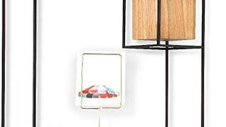 Umbra Cubist Floating Shelf with Built-In Succulent Planter...