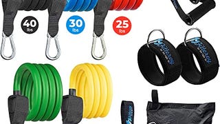 Fitteroy Home Gym Workout Bands - Resistance Band Weight...