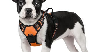 rabbitgoo Dog Harness, No-Pull Pet Harness with 2 Leash...