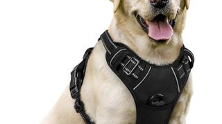 rabbitgoo Dog Harness, No-Pull Pet Harness with 2 Leash...