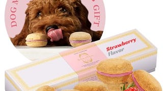 Bonne et Filou Dog Birthday Treats Gift Strawberry Flav...