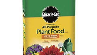 Miracle-Gro Water Soluble All Purpose Plant Food, Fertilizer...