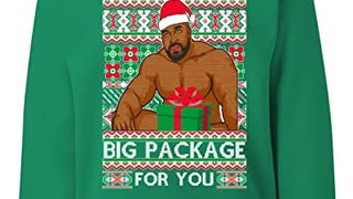 Wild Bobby I have a Big package Funny Ugly Christmas Sweater...