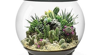 biOrb biOrbAIR 60 LED Terrarium - 16 gallon, grey,