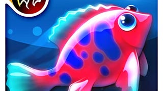 Magic Coral