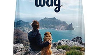 Amazon Brand - Wag High Protein Dry Dog Food Turkey and...