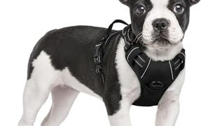 rabbitgoo Dog Harness, No-Pull Pet Harness with 2 Leash...