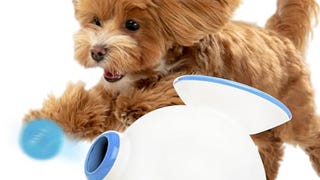 iFetch Automatic Dog Ball Launcher for Small to Medium...