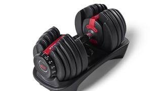 Bowflex SelectTech 552 Dumbbell, Single, brown