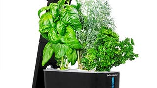 AeroGarden Sprout - Indoor Garden with LED Grow Light,...