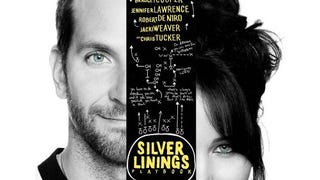 Silver Linings Playbook BD [Blu-ray]