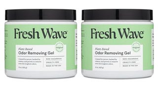 Fresh Wave Odor Removing Gel, 15 oz., Pack of 2 - Odor...