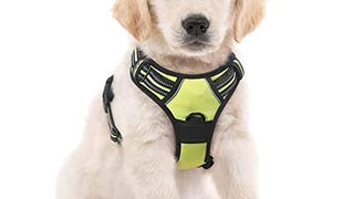 rabbitgoo Dog Harness, No-Pull Pet Harness with 2 Leash...