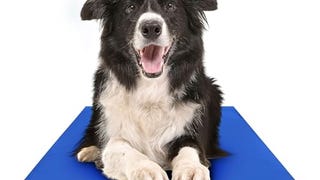 The Green Pet Shop Chillz Gel Mat, Large - Pressure-Activated...