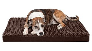 Furhaven Orthopedic Dog Bed for Large/Medium Dogs w/ Removable...