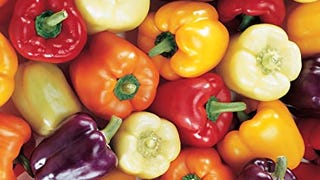 Burpee Carnival Mix Hybrid (Organic) Sweet Pepper Seeds...