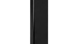 Infinity Primus P253 2-Way Dual Floorstanding Speaker (Black)...