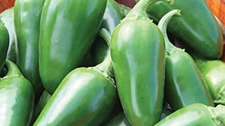 Burpee Jalapeno Early Organic Hot Pepper Seeds | 125 Non-...