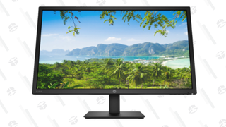 HP 28" 4K Monitor