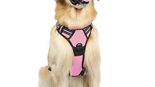 rabbitgoo No-Pull Pet Harness with 2 Leash Clips, Adjustable...