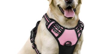 rabbitgoo No-Pull Pet Harness with 2 Leash Clips, Adjustable...