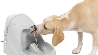 PetSafe Drinkwell Platinum Cat Water Fountain (168 oz/5L)...