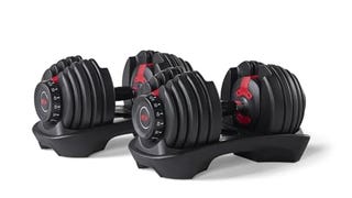 BowFlex SelectTech 552 Adjustable Dumbbells