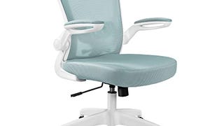 FelixKing Office Chair, Ergonomic Desk Chair with Adjustable...