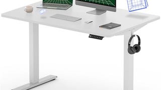 FLEXISPOT EN1 Electric White Stand Up Desk 48 x 30 Inches...