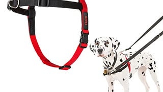 HALTI Front Control Harness - To Stop Your Dog Pulling...