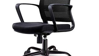 Smugdesk Mid-Back Ergonomic Office Lumbar Support Mesh...